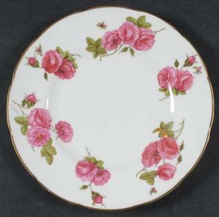Foley Century Rose Salad Plate, Fine China Dinnerware   Pink Roses, Bone    Gree