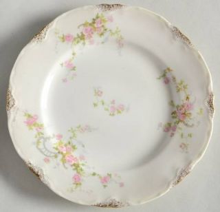 Warwick Old Abbey Bread & Butter Plate, Fine China Dinnerware   Pink Roses, Gray