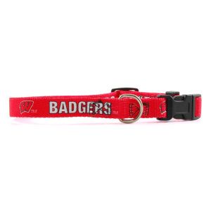 Wisconsin Badgers Small Dog Collar