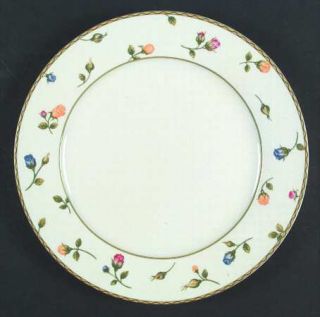 Studio Nova English Garden Dinner Plate, Fine China Dinnerware   Roses Scattered