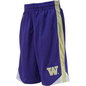 Washington Huskies Colosseum NCAA Vector Shorts