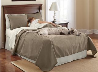 Reversible Dog proof Coverlet And Matching Shams / Only Twin Coverlet, Bark