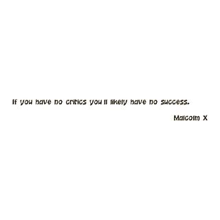 Success Quote If You Have Black Vinyl Wall Decal Sticker (BlackTheme If you have no critics youll likely have no success  Malcolm X success quoteEasy to applyDimensions 22 inches wide x 35 inches long )