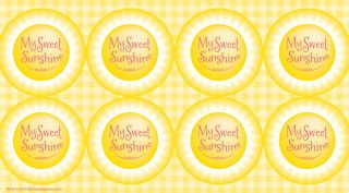 Little Sunshine Party Small Lollipop Sticker Sheet
