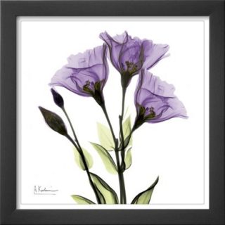 Art   Gentian Trio in Purple Framed Print