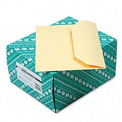 Document Envelopes  9 X 12 (100/box)