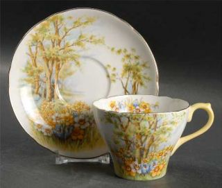 Shelley Daffodil Time Footed Cup & Saucer Set, Fine China Dinnerware   Trees,Yel