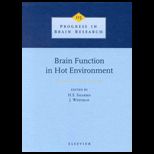 Brain Function in Hot Environment
