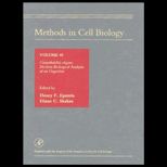 Methods in Cell Biology  Caenorhibditis Elegans  Modern Biological Analysis of an Organism, Volume 48