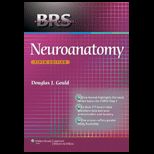 Neuroanatomy