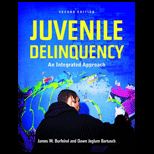 Juvenile Delinquency Integrated Approach