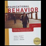Organization Behavior CUSTOM PACKAGE<