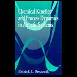Chemical Kinetics and Process Systems