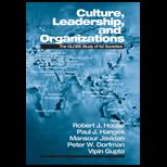 Culture, Leadership, and Organizations