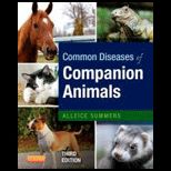 Common Diseases of Companion Animals
