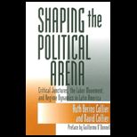 Shaping the Political Arena