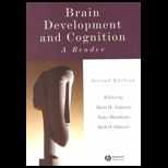 Brain Development and Cognition  A Reader