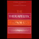 Therapeutic Process A Clinical Introduction to Psychodynamic Psychotherapy