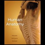 Human Anatomy Text