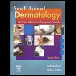 Small Animal Dermatology