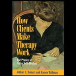 How Clients Make Therapy Work  The Process of Active Self Healing