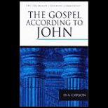 Gospel According to John  An Introduction and Commentary