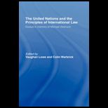 United Nations and Principles of International Law