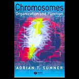 Chromosomes  Organization and Function