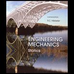 Engineering Mechanics  Statics and Dynamics (Custom)