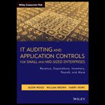 It Auditing and Application Enterprises