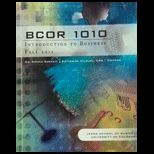 Introduction to Business  Bcor1010 (Custom)