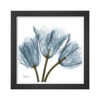 ART Tulips in Blue Framed Print Wall Art