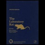 Laboratory Rabbit (Cloth)