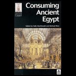 Consuming Ancient Egypt