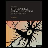Central Nervous System  Structure and Function