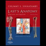 Lasts Anatomy  Regional and Applied