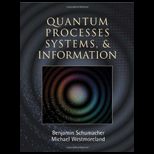Quantum Processes Systems and Information