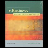 E Business  Strategic Thinking and Practice