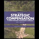 Strategic Compensation (Custom)