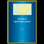 Breakup of Liquid Sheets and Jets