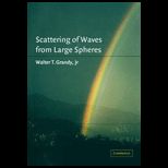 Scattering of Waves From Large Spheres