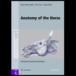 Anatomy of the Horse Illustrated Text