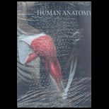 Human Anatomy   Package