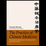 Practice of Chinese Medicine  The Treatment of Diseases with Acupuncture and Chinese Herbs