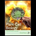 Plant Cell Biology From Astronomy to Zoology