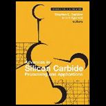 Advances in Silicon Carbide Process