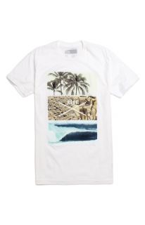 Mens Reef T Shirts   Reef Sum Trends T Shirt
