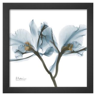 Art   Orchids in Blue Framed Print