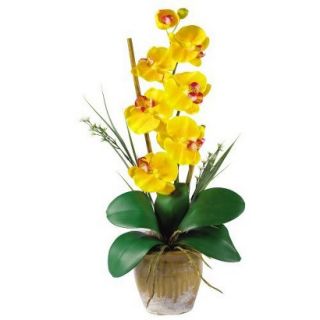 Faux plant   Single Stem Phalaenopsis