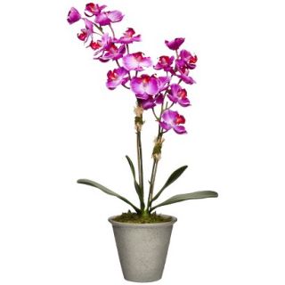 Smith & Hawken Faux Purple Orchid in Ceramic Pot   16